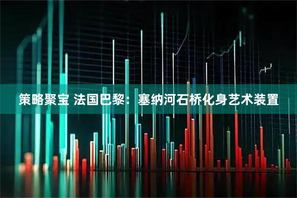 策略聚宝 法国巴黎：塞纳河石桥化身艺术装置